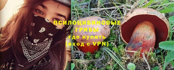 прущая мука Зеленокумск