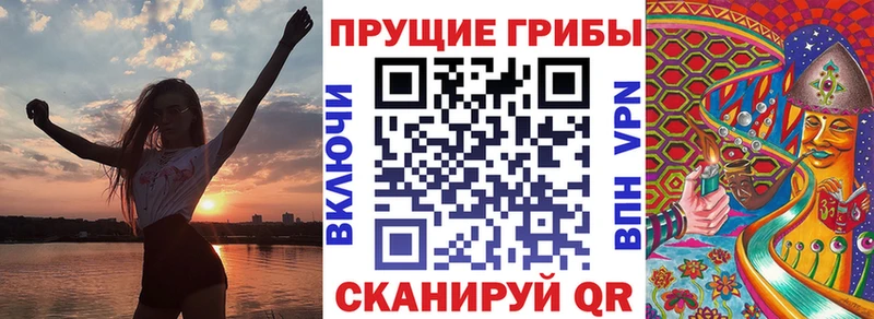 hydra зеркало  где купить наркоту  Екатеринбург  Псилоцибиновые грибы ЛСД 