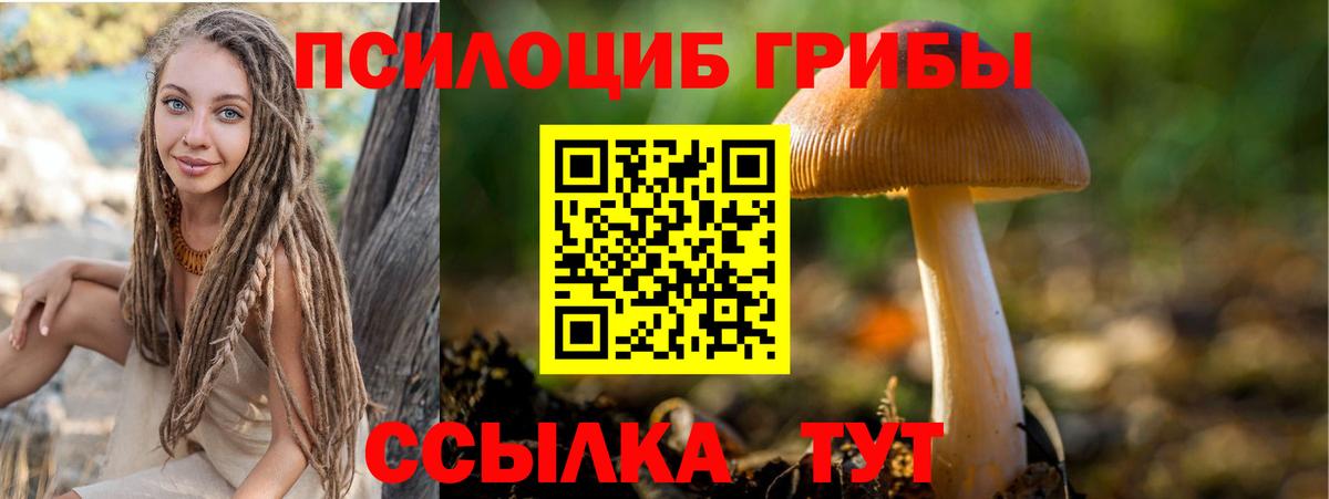 Псилоцибиновые грибы Psilocybine cubensis  Вход с VPN  Россия 