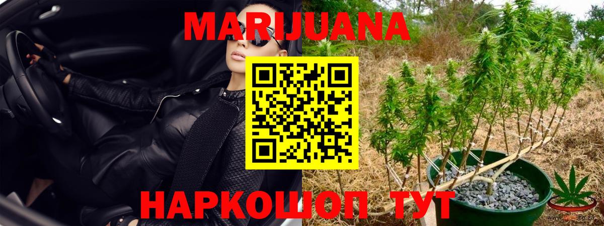 Бошки Шишки White Widow Россия